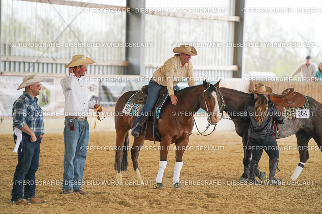 DSC07737 | Pferdegrafie