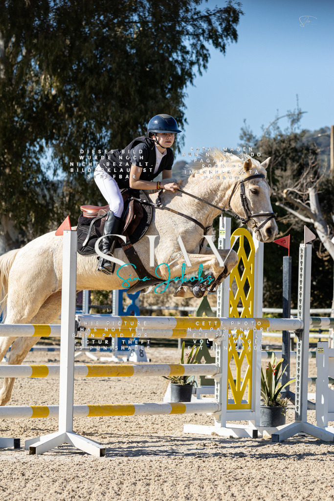 IMG_1229 | s-jay-photography - Realisiert mit Pictrs.com