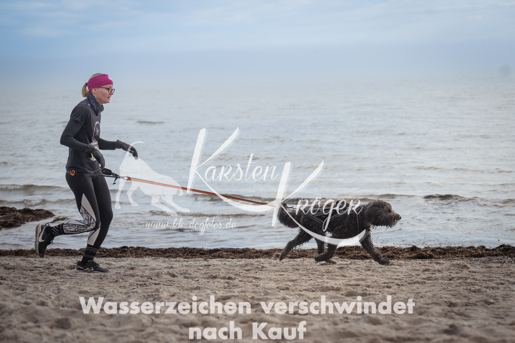 1145_ZZ90565 | kk-dogfotos