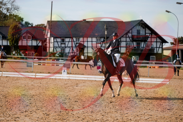 2026_10_03_Siefer-Hof_132316_Z63_84830739 | Professionelle Reitsport-, Turnier- und Eventfotografie von Robert Broda. Galerien mit ausgewählten und bearbeiteten Bildern direkt online ansehen und bestellen.