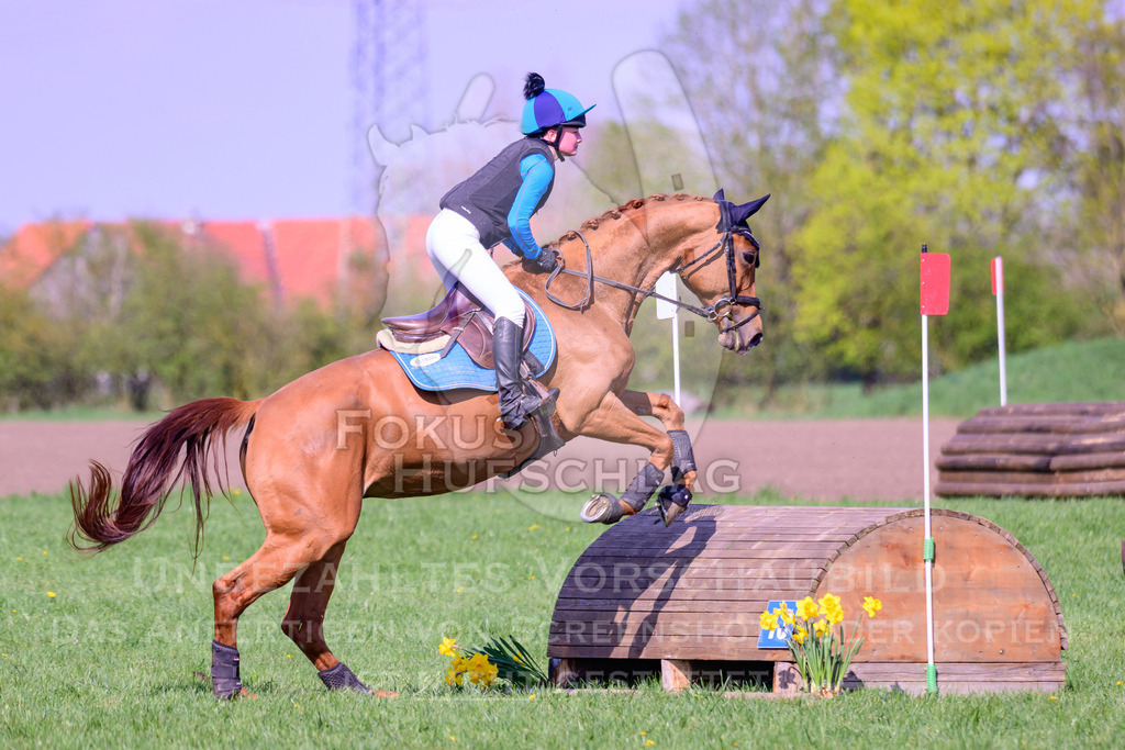 18042026-Gernlinden-04-1-0459 | Fokus Hufschlag Fotografie - Realisiert mit Pictrs.com