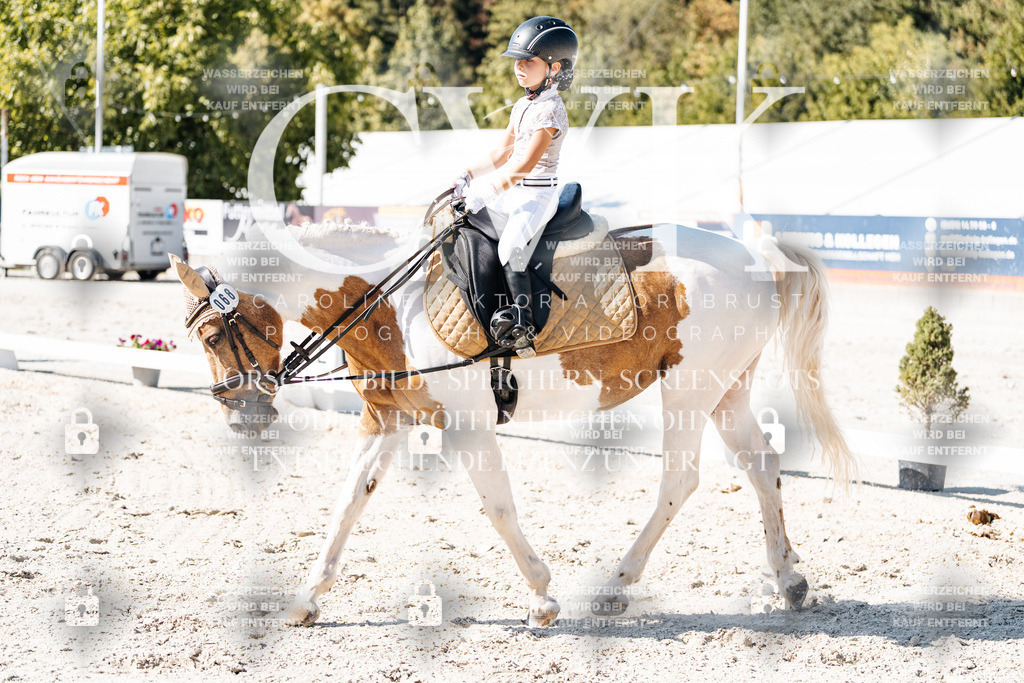 CK903320 | Turnierfotografie Pferdefotografie Trier Rheinland-Pfalz Pferdesport Reitsport Tierfotografie Sportfotografie Pferdevideo Pferdevideografie Equestrianvideography equestrianphotography  - Realisiert mit Pictrs.com