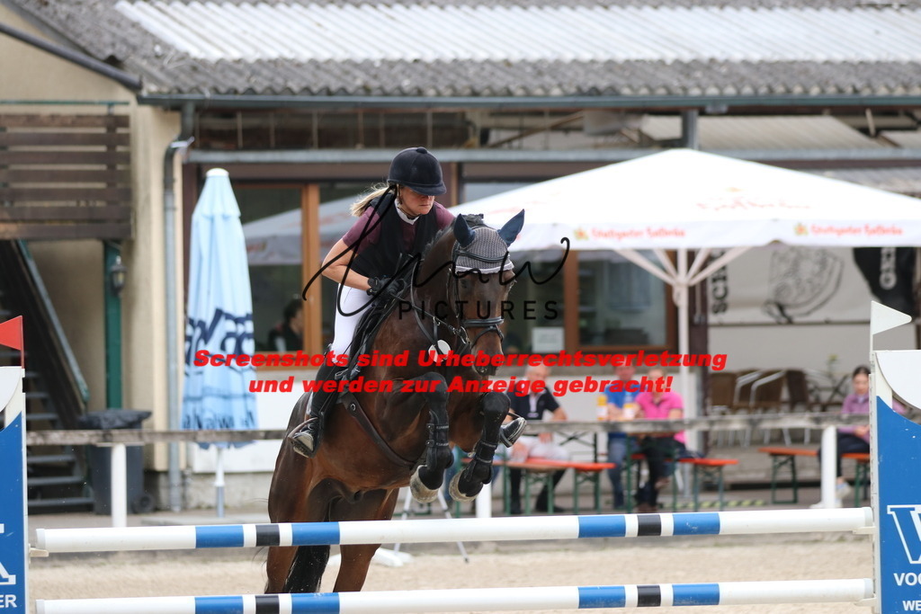 IMG_9965 | lmwpictures - Realisiert mit Pictrs.com