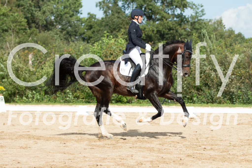 IMG_4033 | Creatify Fotografie