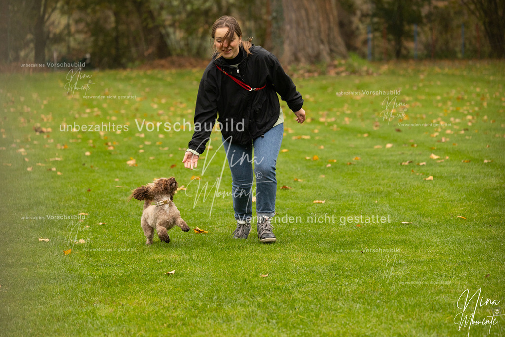 _16A0562 | Einzigartige Fotos von Hunden & Menschen –Actionfotos, Portraits, Vereinsaufnahmen & Paarshootings – authentisch, lebendig & mit Herz.