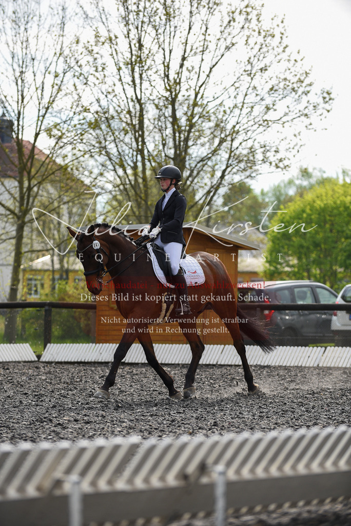 20230513_JK-Röhrsdorf-17-046 | Pferde- und Turnierfotografie in Westsachsen. Pferdeportraits, Auftragszeichnungen und intuitive Kunst.