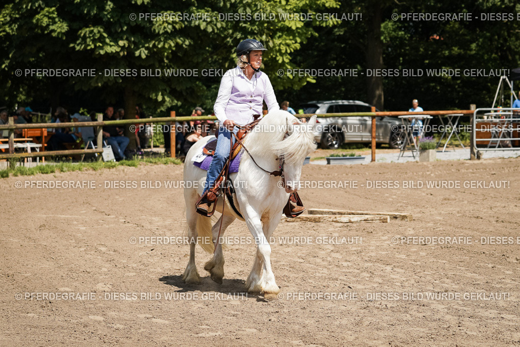 DSC07207 | Pferdegrafie