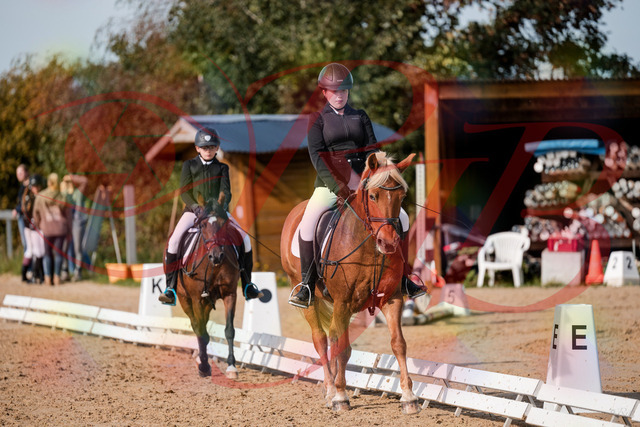 2026_10_03_Siefer-Hof_122048_Z63_44106666 | Professionelle Reitsport-, Turnier- und Eventfotografie von Robert Broda. Galerien mit ausgewählten und bearbeiteten Bildern direkt online ansehen und bestellen.