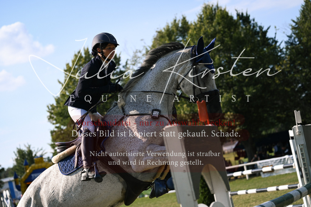DSC_1675 | Pferde- und Turnierfotografie in Westsachsen. Pferdeportraits, Auftragszeichnungen und intuitive Kunst.