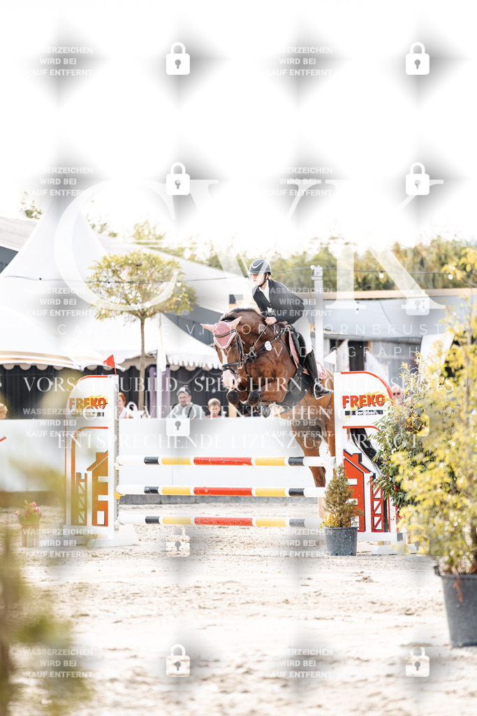 CK906793 | Turnierfotografie Pferdefotografie Trier Rheinland-Pfalz Pferdesport Reitsport Tierfotografie Sportfotografie Pferdevideo Pferdevideografie Equestrianvideography equestrianphotography  - Realisiert mit Pictrs.com