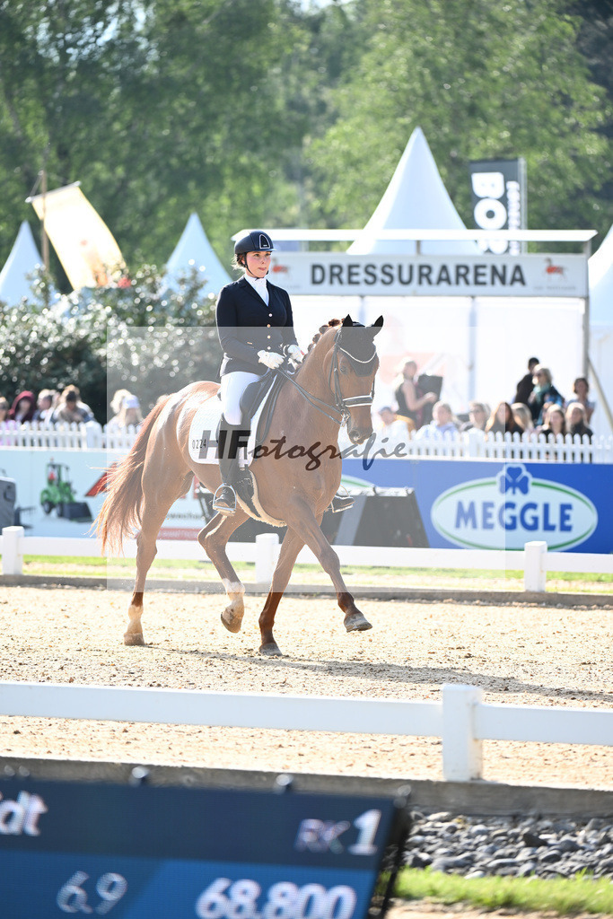 Schmidt_Qazim_12241397 | hf-fotografie - Realisiert mit Pictrs.com
