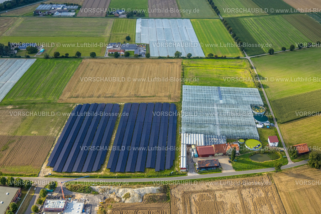 Werl230806441 | Luftbild, Tomaten Stemann Landwirtschaftsbetrieb, Werl, Werl-Unnaer Börde, Nordrhein-Westfalen, Deutschland