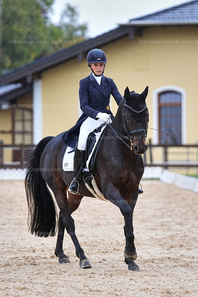 07-123-DRESSUR  S___  -Marixx-5118 | working equitationturnier fotograf videograf stoibphotography marixx film working equitation deutschland reitsport turnierfotografie eventfotografie equestrian events