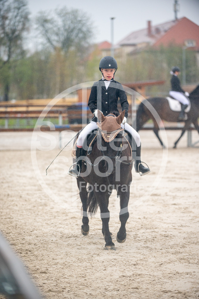 DSC_3490 | sattelsport - Realisiert mit Pictrs.com