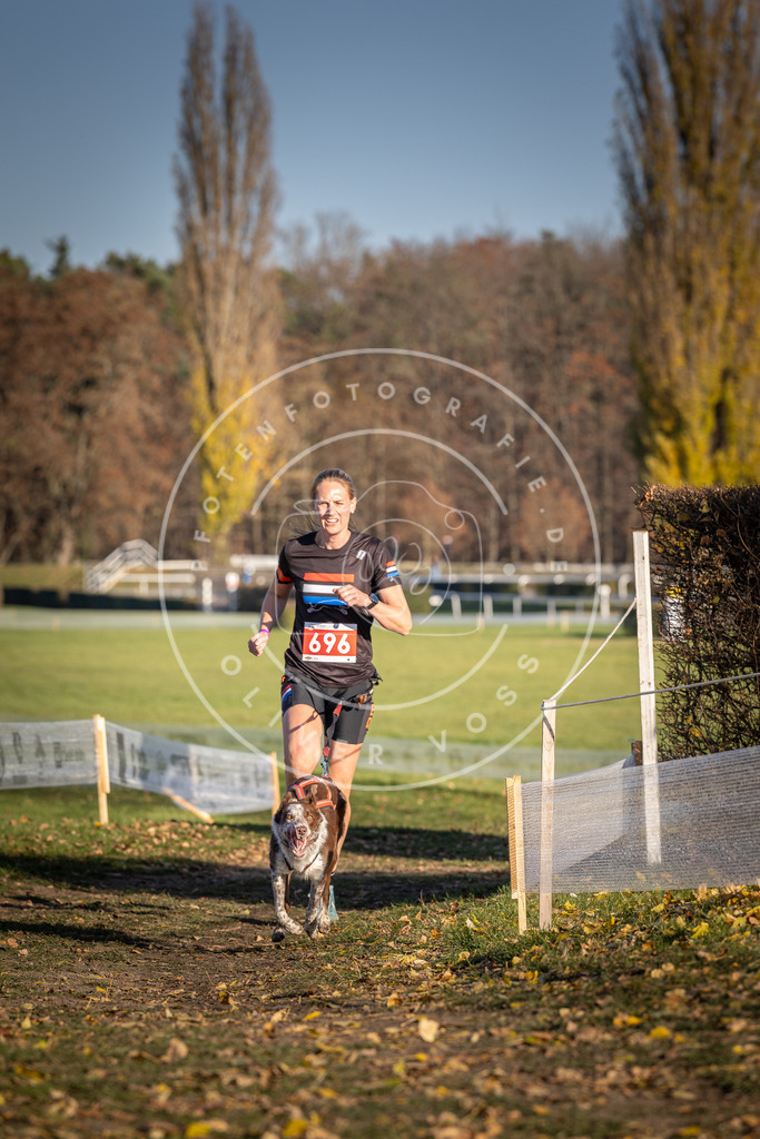 CaniXpix_DV3A1399 | Hundefotografie, Tierfotograf, Pfotenfotografie, Fotoshooting Hund, Hunde Portrait, Hundesport, Hundeportraits, Heideshooting, Hunde, Sportfotograf, Hundefotograf, Turnierhundsport, THS,  - Realisiert mit Pictrs.com