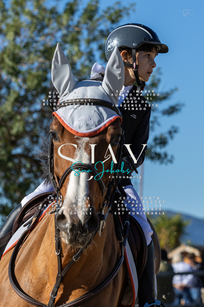 IMG_8110 | s-jay-photography - Realisiert mit Pictrs.com