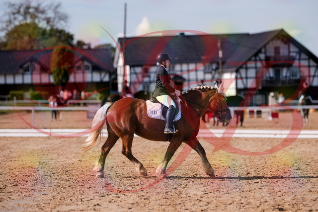 2026_10_03_Siefer-Hof_130224_Z81_56447785 | Professionelle Reitsport-, Turnier- und Eventfotografie von Robert Broda. Galerien mit ausgewählten und bearbeiteten Bildern direkt online ansehen und bestellen.
