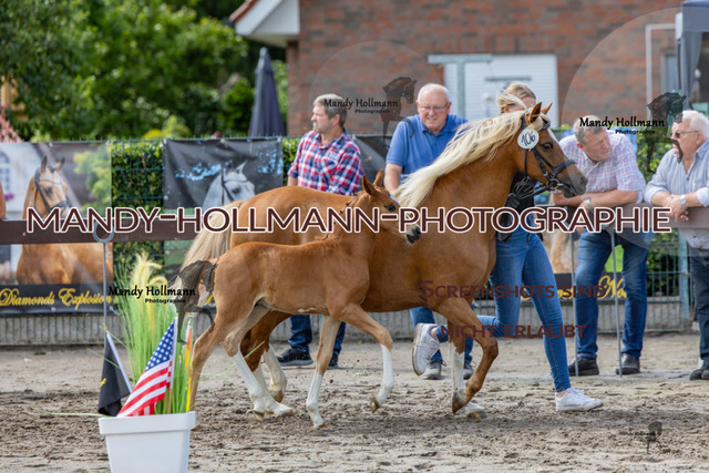 _MG_7063 | mandyhollmannphotographie