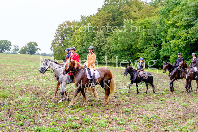Jagd Perdoel 26 Fuji-9786_MarinaHewig | Fotografie, FotoArt, PferdesportArt, Pferdesportfotografie, Landschaftsfotografie, Reisefotografie, Reise, Pferde - Realisiert mit Pictrs.com