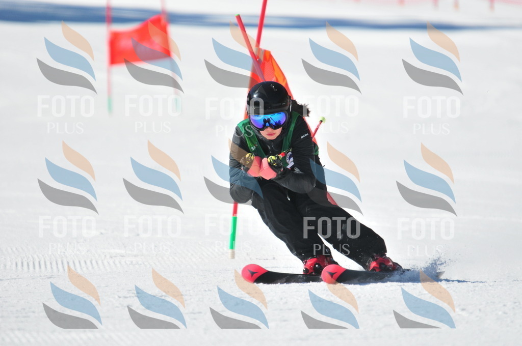 C3960 | holidayphoto