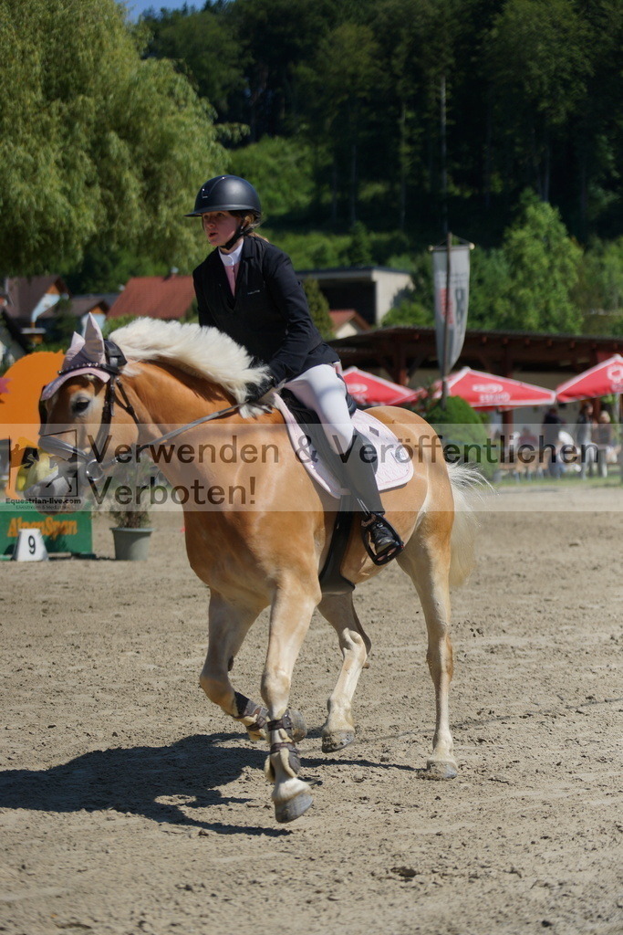 DSC06231 | equestrian-live-com
