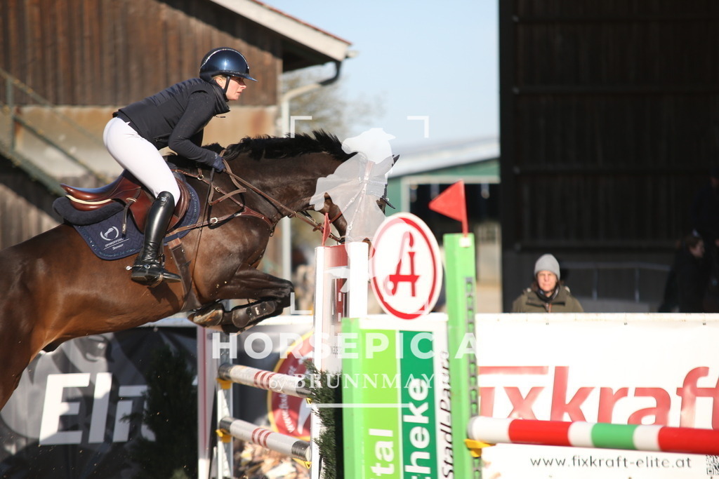 AS8V2621 | Willkommen bei Brunnmayr - Design & Fotografie – Ihrem Spezialisten für Reitturniere und Pferdeveranstaltungen in Oberösterreich, Salzburg und Bayern! Seit über 17 Jahren sind wir leidenschaftlich dabei.