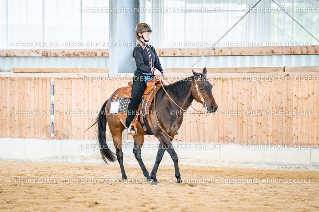 DSC02654 | Pferdegrafie