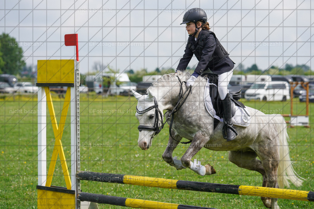 20240509-FAH02260 | Turnierbilder der Turnierfotografen Bayern, Pferdesport Fotografie, Reitsportbilder, Turnier Landberg am Lech, Turnierbilder bayern, Fotoagentur Herrmann