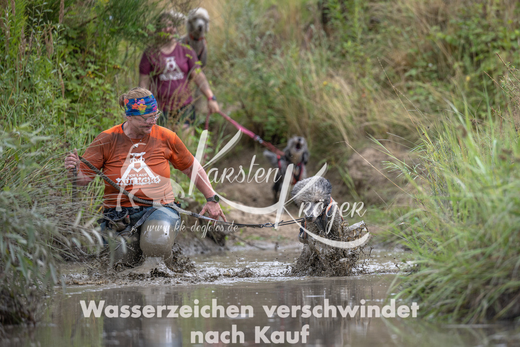1223_ZZ98426 | kk-dogfotos