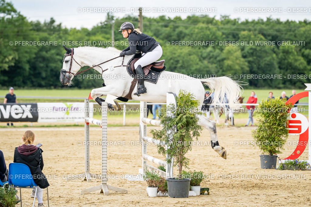 DSC06672 | Pferdegrafie