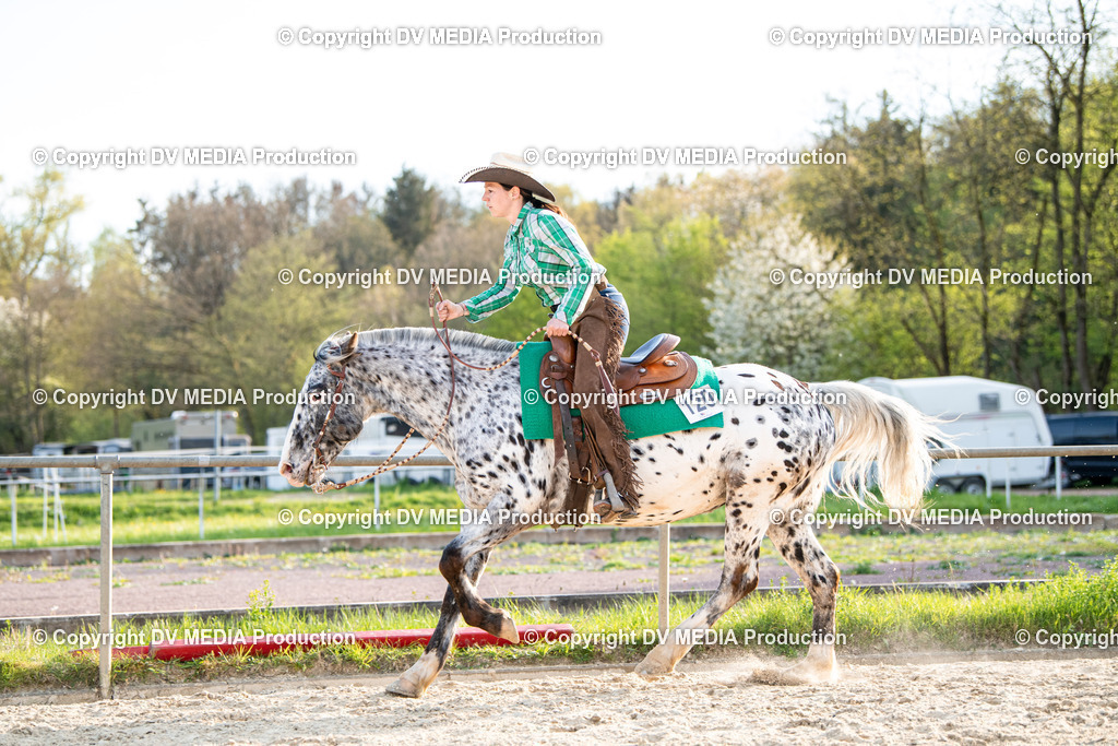 Heiligenwald Tag 1-1207 | dv-media-shop - Realisiert mit Pictrs.com