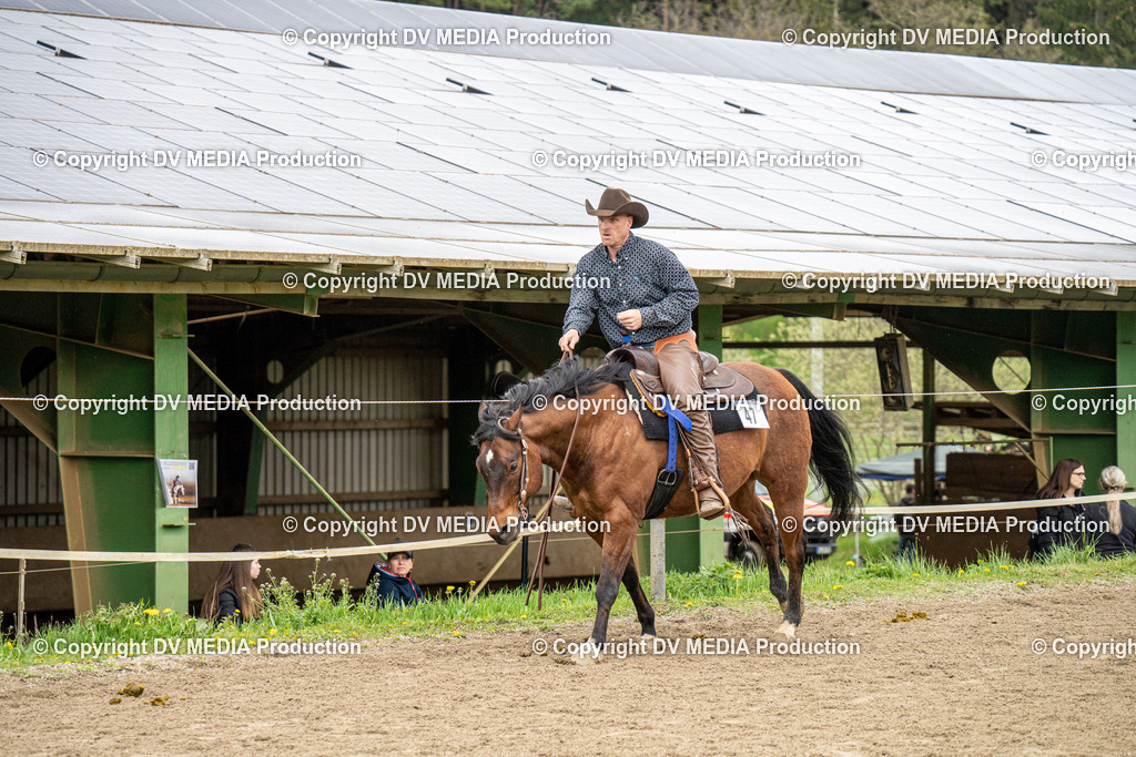 BAL00764 | dv-media-shop - Realisiert mit Pictrs.com