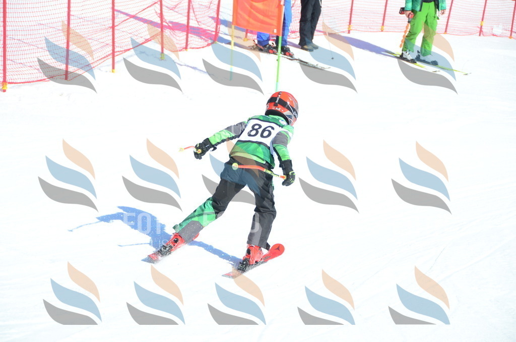 C5645 | holidayphoto