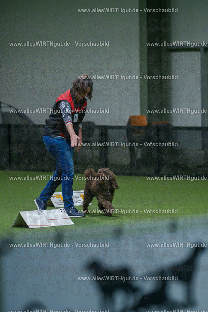 7R503589 | Professionelle Tierfotografie in Mönchengladbach von Daniel Wirth (allesWIRTHgut). Liebevolle & natürliche Bilder von Hunden & Katzen für unvergessliche Erinnerungen.