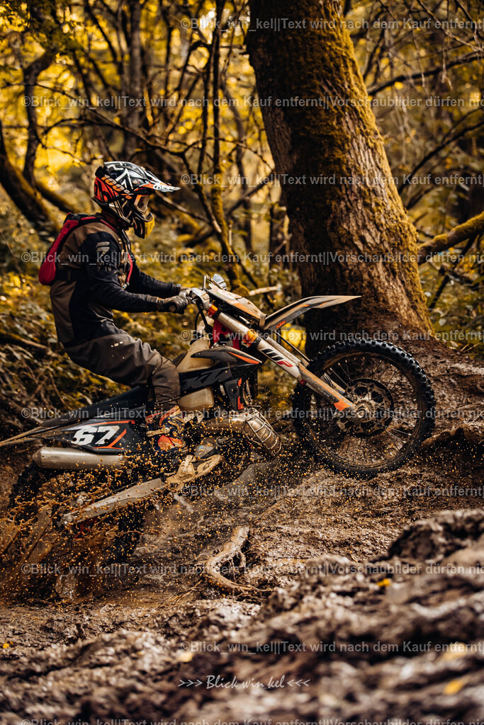 E68A6197 | blick_win_kel