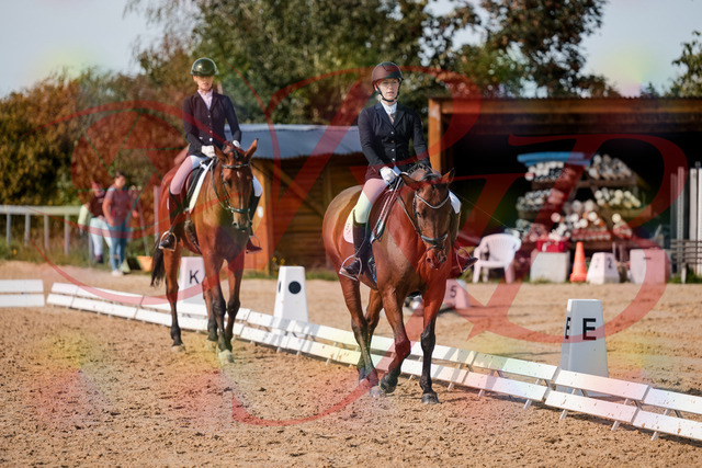 2026_10_03_Siefer-Hof_130909_Z63_71389394 | Professionelle Reitsport-, Turnier- und Eventfotografie von Robert Broda. Galerien mit ausgewählten und bearbeiteten Bildern direkt online ansehen und bestellen.