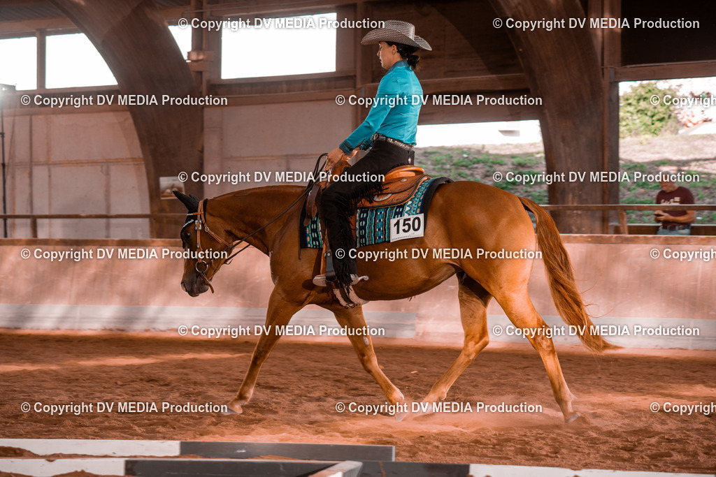 NE200112 | dv-media-shop - Realisiert mit Pictrs.com