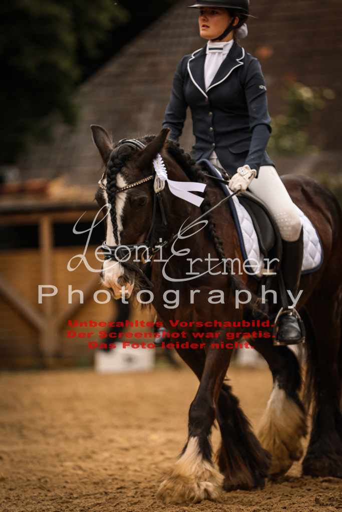 DoDrE00567 | Leoni Ertmer Photography - Realisiert mit Pictrs.com