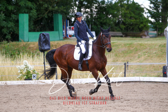 DKP47210 | Turniersportfotografie; Pferdefotografie; Dressurfotografie