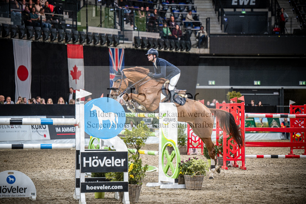 DOS_2739 | Entdecke hochwertige Reitturnierfotos von Foto Oger. Professionell, emotional und authentisch – jetzt Lieblingsmomente im Shop bestellen.Deutschlandweite Turnierfotografie. - Realisiert mit Pictrs.com