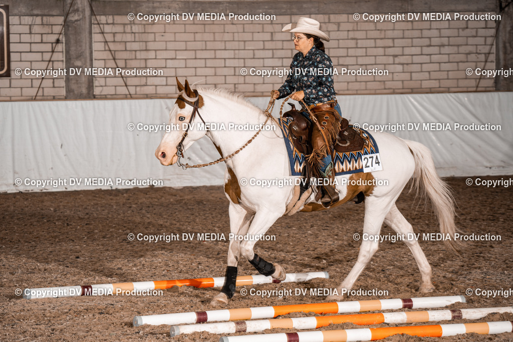 ZH300518 | dv-media-shop - Realisiert mit Pictrs.com