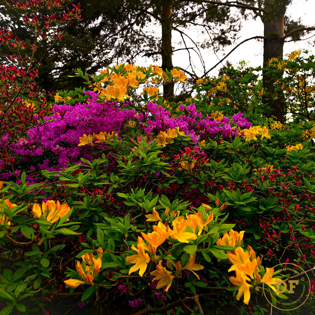 9_DSC8113-2 | Geschenke, Wandbilder und Accessoires mit Motiven aus Dresden und anderen schönen Orten zur Verschönerung Deines zu Hauses und zum verschenken gewünscht? Wähle Deine Lieblingsbild auf dem Produkt Deiner Wahl. 