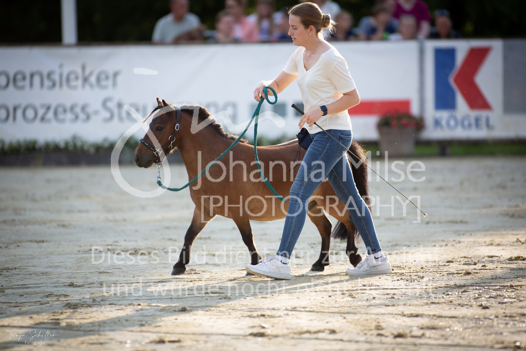 230728_BHO_Showprogramm_FS-719 | Deine schönsten Turniermomente als professionelle Fotos! Entdecke hochwertige Pferdesport-Fotografie im Online-Shop. Jetzt Fotos finden & bestellen!