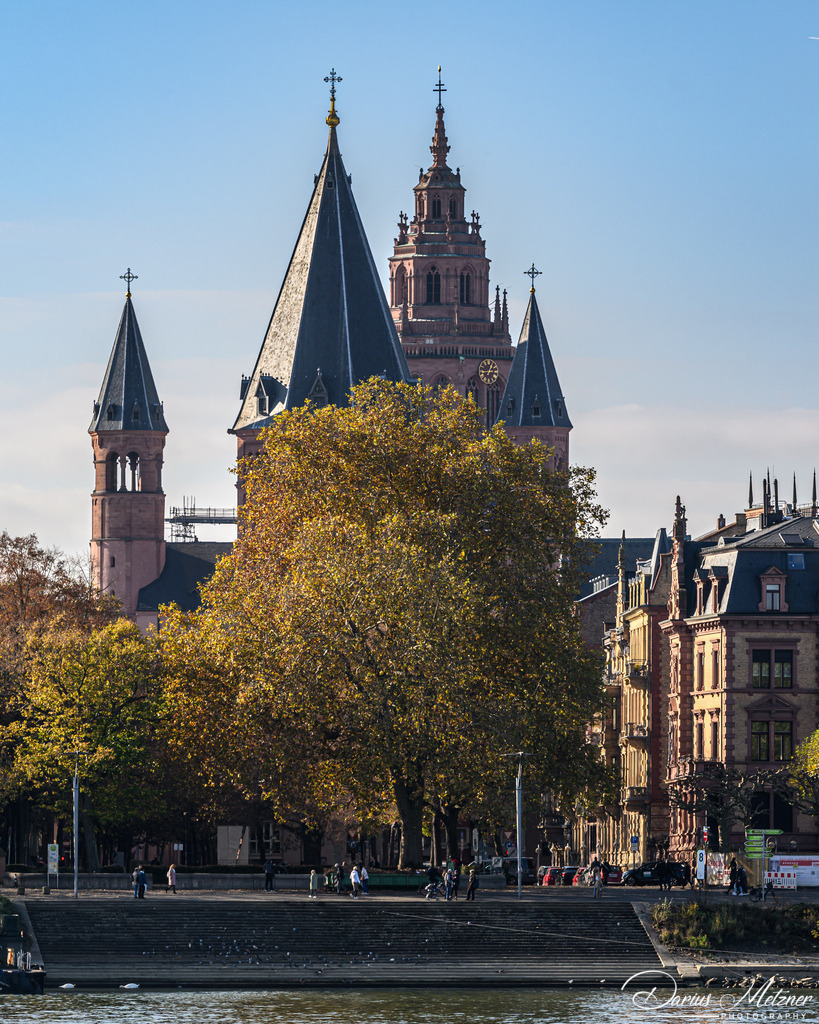 Der Mainzer Dom | Der Mainzer Dom