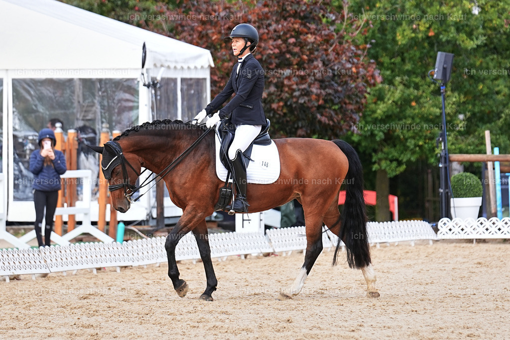 05-146-DRESSUR M_  -Marixx-4982 | working equitationturnier fotograf videograf stoibphotography marixx film working equitation deutschland reitsport turnierfotografie eventfotografie equestrian events