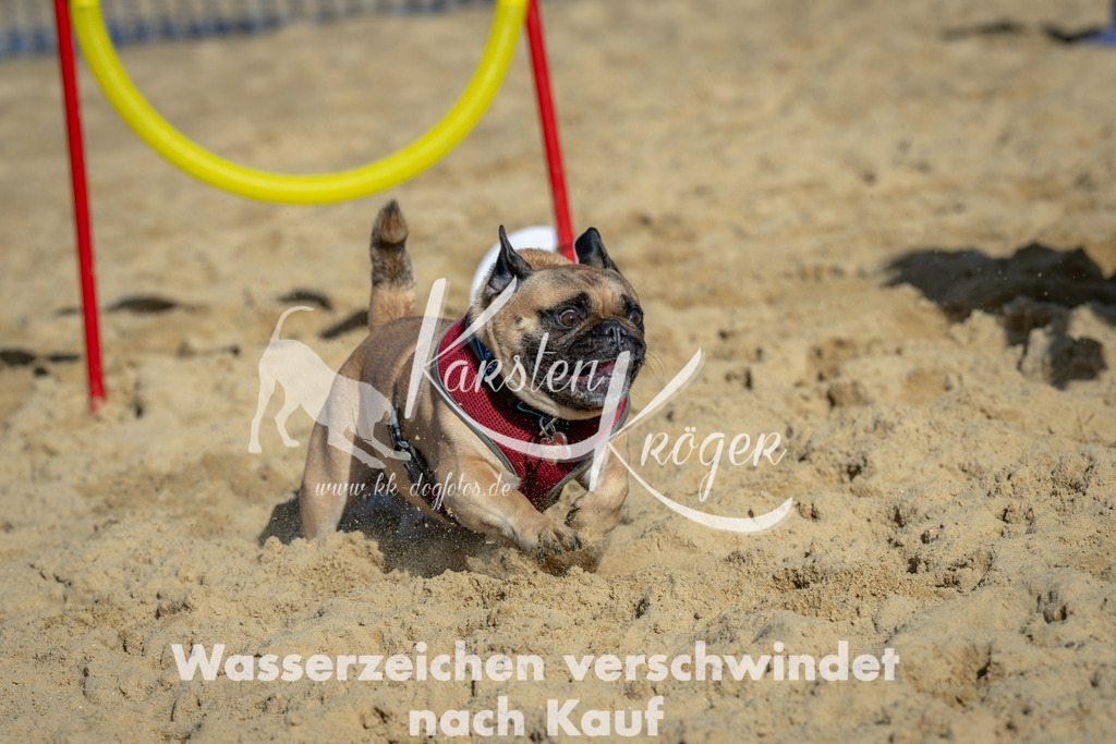 1115_ZZ90828 | kk-dogfotos