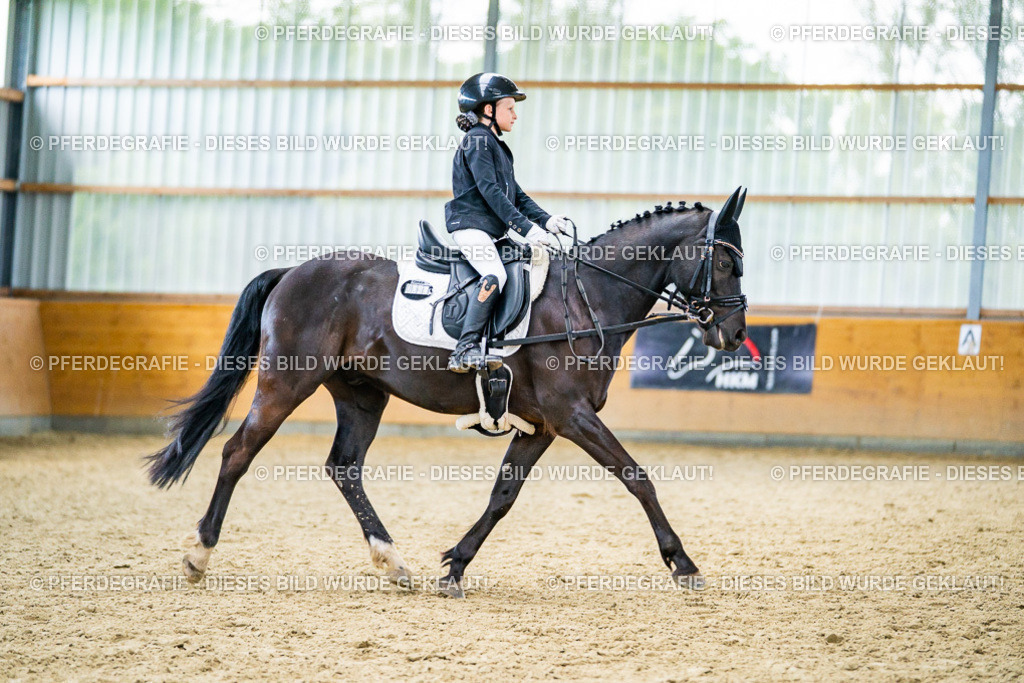 DSC04704 | Pferdegrafie