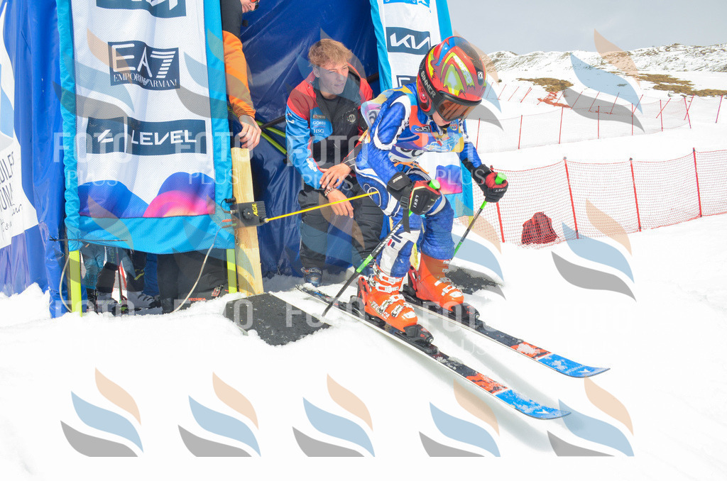 _ELE8328 | holidayphoto