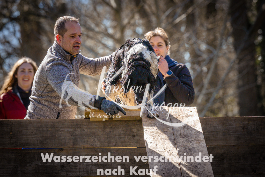 0959_ZZ96931 | kk-dogfotos