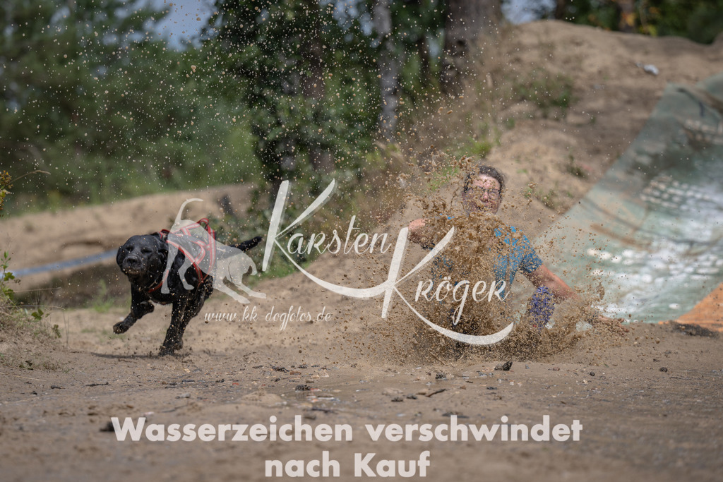 1306_ZZ95375 | kk-dogfotos